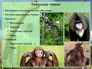 Еволуција човека
 Изумирањем гмизаваца наступа доба сисара
 Род Homo припада реду Primates
 Примати:
 Полумајмуни
 Мајмуни
 Човеколики мајмуни
 Човек
 Хоминиди
 Човеколики мајмуни
 Човек
 