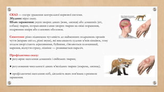 СКАЗ — гостре ураження центральної нервової системи.
Збудник: вірус сказу.
Шлях зараження: укуси хворих диких (вовк, лисиця) або домашніх (кіт,
собака) тварин, потрапляння слини хворих тварин на свіжі поранення,
подряпини шкіри або слизових оболонок.
Симптоми: різко підвищена чутливість до найменших подразнень органів
чуття (яскраве світло, різні звуки), які викликають судоми м’язів кінцівок, тому
згодом хворі стають агресивними, буйними, з’являються галюцинації,
марення, відчуття страху, пізніше — розвивається параліч.
Профілактика сказу:
● регулярне щеплення домашніх і свійських тварин;
● регулювання чисельності диких м’ясоїдних тварин (зокрема, лисиць);
● профілактичні щеплення осіб, діяльність яких пов’язана з ризиком
зараження.
 
