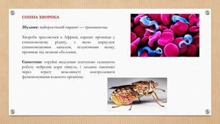 СОННА ХВОРОБА
Збудник: найпростіший паразит — трипаносома.
Хвороба трапляється в Африці, паразит проникає у
спинномозкову рідину, з якою циркулює
спинномозковим каналом, шлуночками мозку,
проникає під мозкові оболонки.
Симптоми: отруйні виділення поступово гальмують
роботу нейронів кори півкуль, і людина «засинає»
через втрату можливості контролювати
функціонування власного організму.
 