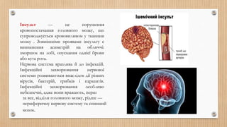 Інсульт — це порушення
кровопостачання головного мозку, що
супроводжується крововиливом у тканини
мозку . Зовнішніми проявами інсульту є
виникнення асиметрій на обличчі:
зморшок на лобі, опускання однієї брови
або кута рота.
Нервова система вразлива й до інфекцій.
Інфекційні захворювання нервової
системи розвиваються внаслідок дії різних
вірусів, бактерій, грибків і паразитів.
Інфекційні захворювання особливо
небезпечні, адже вони вражають, перш
за все, відділи головного мозку, рідше —
периферичну нервову систему та спинний
мозок.
 