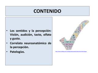 CONTENIDO
• Los sentidos y la percepción:
Visión, audición, tacto, olfato
y gusto.
• Correlato neuroanatómico de
la percep...
