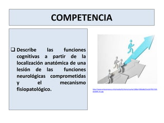 COMPETENCIA
 Describe las funciones
cognitivas a partir de la
localización anatómica de una
lesión de las funciones
neuro...