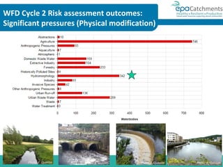 8. Dealing with physical damage to rivers: the Morphological Quality ...