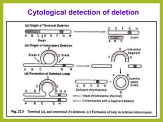 Cytological detection of deletion
 