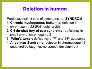 Deletion in human
Produces distinct sets of symptoms i.e. SYNDROM
1. Chronic myelogenous leukemia: deletion in
chromosome 22 (Philadelphia 22)
2. Cri-du-chat (cry of cat) syndrome: deficiency in
small arm of chromosome 5
3. Wilm’s tumer: deficiency of 7th and 14th autosome.
4. Angelman Syndrome: deletion in chromosome 15.
uncontrolled laughter, no speech development
 