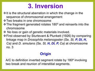 3. Inversion
❖It is the structural aberration in which the change in the
sequence of chromosomal arrangement
❖Two breaks in one chromosome
❖The fragment generated rotates 180⁰ and reinserts into the
chromosome
❖ No loss or gain of genetic materials involved.
❖First observed by Sturtevant & Plunkett (1926) by comparing
linkage map in Drosophila melanogaster (Se, St, P, Dl, H,
Ca) and D. simulans (Se, St, H, Dl, P, Ca) at chromosome
no. 3
Origin
A/C to definition inverted segment rotate by 180⁰ involving
two break and reunion of interstitial segments.
 