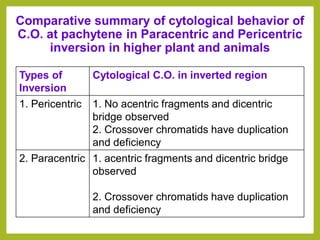 Comparative summary of cytological behavior of
C.O. at pachytene in Paracentric and Pericentric
inversion in higher plant and animals
Types of
Inversion
Cytological C.O. in inverted region
1. Pericentric 1. No acentric fragments and dicentric
bridge observed
2. Crossover chromatids have duplication
and deficiency
2. Paracentric 1. acentric fragments and dicentric bridge
observed
2. Crossover chromatids have duplication
and deficiency
 