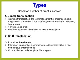 Types
Based on number of breaks involved
1. Simple translocation
➢ In simple translocation, the terminal segment of chromosomes is
integrated at one end of a non -homologous chromosome. However,
they are rare.
➢ It involves one break
➢ Reported by painter and muller in 1929 in Drosophila
2. Shift translocation
➢ It requires three breaks
➢ Intercalary segment of a chromosome is integrated within a non
homologous chromosomes
➢ Commonly seen in Drosophila ,Neurospora
 