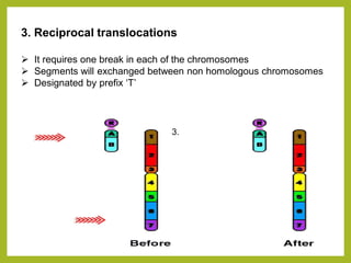 3.
3. Reciprocal translocations
➢ It requires one break in each of the chromosomes
➢ Segments will exchanged between non homologous chromosomes
➢ Designated by prefix ‘T’
 
