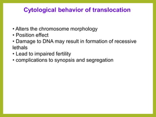 Cytological behavior of translocation
• Alters the chromosome morphology
• Position effect
• Damage to DNA may result in formation of recessive
lethals
• Lead to impaired fertility
• complications to synopsis and segregation
 