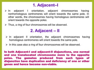 ➢ In adjacent I orientation, adjacent chromosomes having
nonhomologous centromeres will orient towards the same pole. In
other words, the chromosomes having homologous centromeres will
orient towards the opposite poles.
➢ Thus, a ring of four chromosomes will be observed.
1. Adjacent–I
➢ In adjacent II orientation, the adjacent chromosomes having
homologous centromeres will orient towards the same pole.
➢ In this case also a ring of four chromosomes will be observed.
2. Adjacent – II
In both Adjacent-I and adjacent-II disjunctions, one normal
and one translocated chromosome move to the opposite
poles. The gametes produced from such types of
disjunction have duplication and deficiency of one or other
genes and hence become non-viable.
 