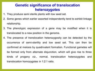 1. They produce semi sterile plants with low seed set.
2. Some genes which earlier assorted independently tend to exhibit linkage
relationship.
3. The phenotypic expression of a gene may be modified when it is
translocated to a new position in the genome.
4. The presence of translocation heterozygosity can be detected by the
occurrence of semi-sterility and low seed set. This can then be
confirmed at meiosis by quadrivalent formation. Functional gametes will
be formed only from alternate disjunction, which will give rise to three
kinds of progeny viz., normal, translocation heterozygotes and
translocation homozygotes in 1:2:1 ratio.
Genetic significance of translocation
heterozygotes
 