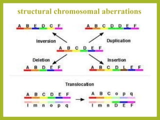 structural chromosomal aberrations
 