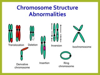 Translocation Deletion
Insertion
Inversion Isochromosome
Ring
chromosome
Derivative
chromosome
Chromosome Structure
Abnormalities
 