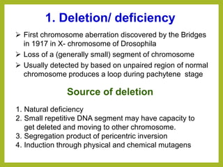 ➢ First chromosome aberration discovered by the Bridges
in 1917 in X- chromosome of Drosophila
➢ Loss of a (generally small) segment of chromosome
➢ Usually detected by based on unpaired region of normal
chromosome produces a loop during pachytene stage
1. Deletion/ deficiency
Source of deletion
1. Natural deficiency
2. Small repetitive DNA segment may have capacity to
get deleted and moving to other chromosome.
3. Segregation product of pericentric inversion
4. Induction through physical and chemical mutagens
 