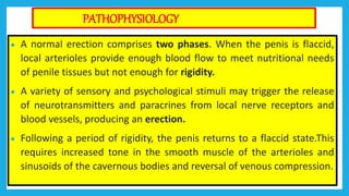 8.presentation on male reproductive system [autosaved]