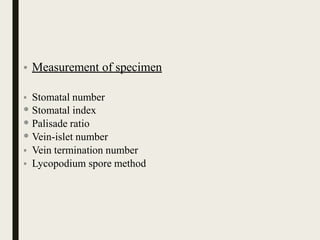• Measurement of specimen
• Stomatal number
• Stomatal index
• Palisade ratio
• Vein-islet number
• Vein termination number
• Lycopodium spore method
 