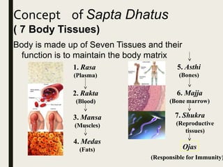 Concept of Sapta Dhatus
( 7 Body Tissues)
Body is made up of Seven Tissues and their
function is to maintain the body matrix
1. Rasa
(Plasma)
3. Mansa
(Muscles)
4. Medas
(Fats)
5. Asthi
(Bones)
6. Majja
(Bone marrow)
7. Shukra
(Reproductive
tissues)
2. Rakta
(Blood)
Ojas
(Responsible for Immunity)
 