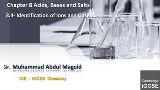 8.4 identification of ions and gases | PPTX