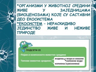 *ОРГАНИЗМИ У ЖИВОТНОЈ СРЕДИНИ
ЖИВЕ У ЗАЈЕДНИЦАМА
(БИОЦЕНОЗАМА) КОЈЕ СУ САСТАВНИ
ДЕО ЕКОСИСТЕМА
*ЕКОСИСТЕМ – НЕРАСКИДИВО
ЈЕДИНСТВО ЖИВЕ И НЕЖИВЕ
ПРИРОДЕ
 