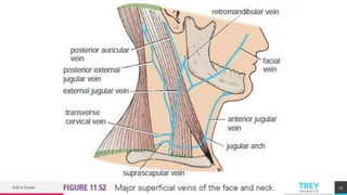 TREYresearch
Add a footer 13
 