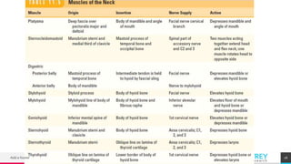 TREYresearch
Add a footer 16
 