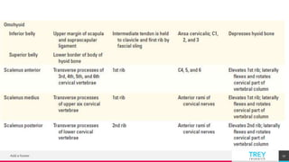 TREYresearch
Add a footer 17
 
