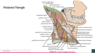 TREYresearch
PosteriorTriangle
Add a footer 21
 