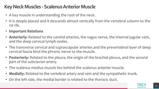 TREYresearch
KeyNeckMuscles-ScalenusAnteriorMuscle
• A key muscle in understanding the root of the neck.
• It is deeply placed and it descends almost vertically from the vertebral column to the
1st rib.
• Important Relations
• Anteriorly: Related to the carotid arteries, the vagus nerve, the internal jugular vein,
and the deep cervical lymph nodes.
• The transverse cervical and suprascapular arteries and the prevertebral layer of deep
cervical fascia bind the phrenic nerve to the muscle.
• Posteriorly: Related to the pleura, the origin of the brachial plexus, and the second
part of the subclavian artery.
• The scalenus medius muscle lies behind the scalenus anterior muscle.
• Medially: Related to the vertebral artery and vein and the sympathetic trunk.
• On the left side, the medial border is related to the thoracic duct.
23
 