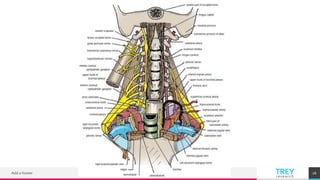 TREYresearch
Add a footer 26
 