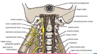 TREYresearch
Add a footer 27
 