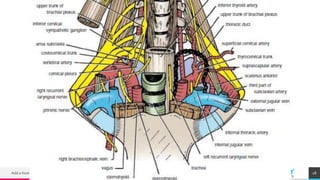 TREYresearch
Add a footer 28
 