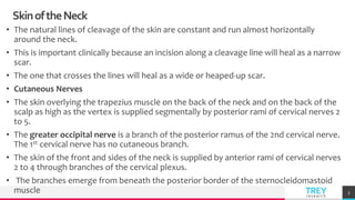 TREYresearch
SkinoftheNeck
• The natural lines of cleavage of the skin are constant and run almost horizontally
around the neck.
• This is important clinically because an incision along a cleavage line will heal as a narrow
scar.
• The one that crosses the lines will heal as a wide or heaped-up scar.
• Cutaneous Nerves
• The skin overlying the trapezius muscle on the back of the neck and on the back of the
scalp as high as the vertex is supplied segmentally by posterior rami of cervical nerves 2
to 5.
• The greater occipital nerve is a branch of the posterior ramus of the 2nd cervical nerve.
The 1st cervical nerve has no cutaneous branch.
• The skin of the front and sides of the neck is supplied by anterior rami of cervical nerves
2 to 4 through branches of the cervical plexus.
• The branches emerge from beneath the posterior border of the sternocleidomastoid
muscle 3
 
