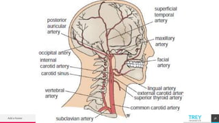 TREYresearch
Add a footer 38
 