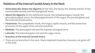 TREYresearch
RelationsoftheInternalCarotidArteryintheNeck
• Anterolaterally: Below the digastric lie the skin, the fascia, the anterior border of the
sternocleidomastoid, and the hypoglossal nerve.
• Above the digastric lie the stylohyoid muscle, the stylopharyngeus muscle, the
glossopharyngeal nerve, the pharyngeal branch of the vagus, the parotid gland, and
the external carotid artery.
• Posteriorly: The sympathetic trunk, the longus capitis muscle, and the transverse
processes of the upper three cervical vertebrae
• Medially: The pharyngeal wall and the superior laryngeal nerve
• Laterally: The internal jugular vein and the vagus nerve.
• Branches of the Internal Carotid Artery
• There are no branches in the neck. Many important branches, however, are given off
in the skull.
41
 