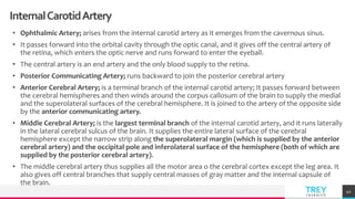TREYresearch
InternalCarotidArtery
• Ophthalmic Artery; arises from the internal carotid artery as it emerges from the cavernous sinus.
• It passes forward into the orbital cavity through the optic canal, and it gives off the central artery of
the retina, which enters the optic nerve and runs forward to enter the eyeball.
• The central artery is an end artery and the only blood supply to the retina.
• Posterior Communicating Artery; runs backward to join the posterior cerebral artery
• Anterior Cerebral Artery; is a terminal branch of the internal carotid artery; It passes forward between
the cerebral hemispheres and then winds around the corpus callosum of the brain to supply the medial
and the superolateral surfaces of the cerebral hemisphere. It is joined to the artery of the opposite side
by the anterior communicating artery.
• Middle Cerebral Artery; is the largest terminal branch of the internal carotid artery, and it runs laterally
in the lateral cerebral sulcus of the brain. It supplies the entire lateral surface of the cerebral
hemisphere except the narrow strip along the superolateral margin (which is supplied by the anterior
cerebral artery) and the occipital pole and inferolateral surface of the hemisphere (both of which are
supplied by the posterior cerebral artery).
• The middle cerebral artery thus supplies all the motor area o the cerebral cortex except the leg area. It
also gives off central branches that supply central masses of gray matter and the internal capsule of
the brain.
42
 