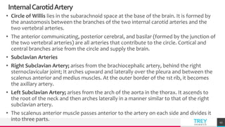 TREYresearch
InternalCarotidArtery
• Circle of Willis lies in the subarachnoid space at the base of the brain. It is formed by
the anastomosis between the branches of the two internal carotid arteries and the
two vertebral arteries.
• The anterior communicating, posterior cerebral, and basilar (formed by the junction of
the two vertebral arteries) are all arteries that contribute to the circle. Cortical and
central branches arise from the circle and supply the brain.
• Subclavian Arteries
• Right Subclavian Artery; arises from the brachiocephalic artery, behind the right
sternoclavicular joint; It arches upward and laterally over the pleura and between the
scalenus anterior and medius muscles. At the outer border of the 1st rib, it becomes
the axillary artery.
• Left Subclavian Artery; arises from the arch of the aorta in the thorax. It ascends to
the root of the neck and then arches laterally in a manner similar to that of the right
subclavian artery.
• The scalenus anterior muscle passes anterior to the artery on each side and divides it
into three parts. 43
 