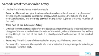 TREYresearch
SecondPartoftheSubclavianArtery
• Lies behind the scalenus anterior muscle.
• Branches The costocervical trunk runs backward over the dome of the pleura and
divides into the superior intercostal artery, which supplies the 1st and the 2nd
intercostal spaces, and the deep cervical artery, which supplies the deep muscles of
the neck.
• Third Part of the Subclavian Artery
• Extends from the lateral border of the scalenus anterior muscle across the posterior
triangle of the neck to the lateral border of the 1st rib, where it becomes the axillary
artery. Here, in the root of the neck, it is closely related to the nerves of the brachial
plexus.
• Branches; The third part of the subclavian artery usually has no branches.
• Occasionally, however, the superficial cervical arteries, the suprascapular arteries, or
both arise from this part.
Add a footer 46
 