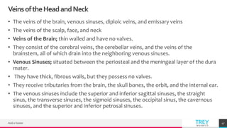 TREYresearch
VeinsoftheHeadandNeck
• The veins of the brain, venous sinuses, diploic veins, and emissary veins
• The veins of the scalp, face, and neck
• Veins of the Brain; thin walled and have no valves.
• They consist of the cerebral veins, the cerebellar veins, and the veins of the
brainstem, all of which drain into the neighboring venous sinuses.
• Venous Sinuses; situated between the periosteal and the meningeal layer of the dura
mater.
• They have thick, fibrous walls, but they possess no valves.
• They receive tributaries from the brain, the skull bones, the orbit, and the internal ear.
• The venous sinuses include the superior and inferior sagittal sinuses, the straight
sinus, the transverse sinuses, the sigmoid sinuses, the occipital sinus, the cavernous
sinuses, and the superior and inferior petrosal sinuses.
Add a footer 47
 
