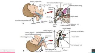 TREYresearch
Add a footer 54
 