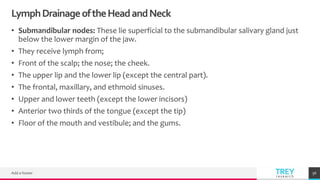 TREYresearch
LymphDrainageoftheHeadandNeck
• Submandibular nodes: These lie superficial to the submandibular salivary gland just
below the lower margin of the jaw.
• They receive lymph from;
• Front of the scalp; the nose; the cheek.
• The upper lip and the lower lip (except the central part).
• The frontal, maxillary, and ethmoid sinuses.
• Upper and lower teeth (except the lower incisors)
• Anterior two thirds of the tongue (except the tip)
• Floor of the mouth and vestibule; and the gums.
Add a footer 56
 