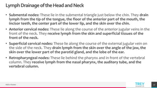 TREYresearch
LymphDrainageoftheHeadandNeck
• Submental nodes: These lie in the submental triangle just below the chin. They drain
lymph from the tip of the tongue, the floor of the anterior part of the mouth, the
incisor teeth, the center part of the lower lip, and the skin over the chin.
• Anterior cervical nodes: These lie along the course of the anterior jugular veins in the
front of the neck. They receive lymph from the skin and superficial tissues of the
front of the neck.
• Superficial cervical nodes: These lie along the course of the external jugular vein on
the side of the neck. They drain lymph from the skin over the angle of the jaw, the
skin over the lower part of the parotid gland, and the lobe of the ear.
• Retropharyngeal nodes: These lie behind the pharynx and in front of the vertebral
column. They receive lymph from the nasal pharynx, the auditory tube, and the
vertebral column.
Add a footer 57
 