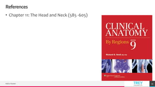 TREYresearch
References
• Chapter 11: The Head and Neck (585 -605)
Add a footer 59
 