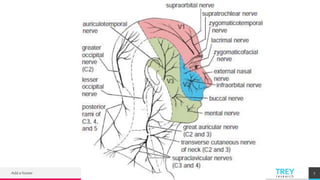 TREYresearch
Add a footer 7
 