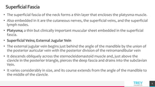 TREYresearch
SuperficialFascia
• The superficial fascia of the neck forms a thin layer that encloses the platysma muscle.
• Also embedded in it are the cutaneous nerves, the superficial veins, and the superficial
lymph nodes.
• Platysma; a thin but clinically important muscular sheet embedded in the superficial
fascia.
• Superficial Veins; External Jugular Vein
• The external jugular vein begins just behind the angle of the mandible by the union of
the posterior auricular vein with the posterior division of the retromandibular vein
• It descends obliquely across the sternocleidomastoid muscle and, just above the
clavicle in the posterior triangle, pierces the deep fascia and drains into the subclavian
Vein.
• It varies considerably in size, and its course extends from the angle of the mandible to
the middle of the clavicle.
8
 
