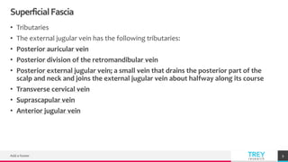 TREYresearch
SuperficialFascia
• Tributaries
• The external jugular vein has the following tributaries:
• Posterior auricular vein
• Posterior division of the retromandibular vein
• Posterior external jugular vein; a small vein that drains the posterior part of the
scalp and neck and joins the external jugular vein about halfway along its course
• Transverse cervical vein
• Suprascapular vein
• Anterior jugular vein
Add a footer 9
 