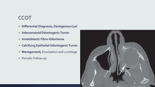 Radiographic Interpretation of Cyst and Cyst-like Lesions of the Jaws ...