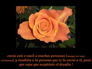 envía este e-mail a muchas personas (aunque no sean
cristianas), y también a la persona que te lo envió a tí, para
que sepa que aceptáste el desafio !
 