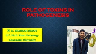 ROLE OF TOXINS IN
PATHOGENESIS
N. H. SHANKAR REDDY
2nd, Ph.D. Plant Pathology
Annamalai University
 