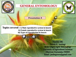 Prepared by:
Nandini HK
Suresh R. Jambagi
M.Sc. (Agri) Agril. Entomology
University of Agricultural Sciences
Dharwad, Karnataka-580005
Email: jambagisuru@gmail.com
GENERAL ENTOMOLOGY
Presentation: 8
Topics covered : i) Male reproductive system in insects
ii) Female reproductive system in insects
iii) Types of reproduction in insects
 